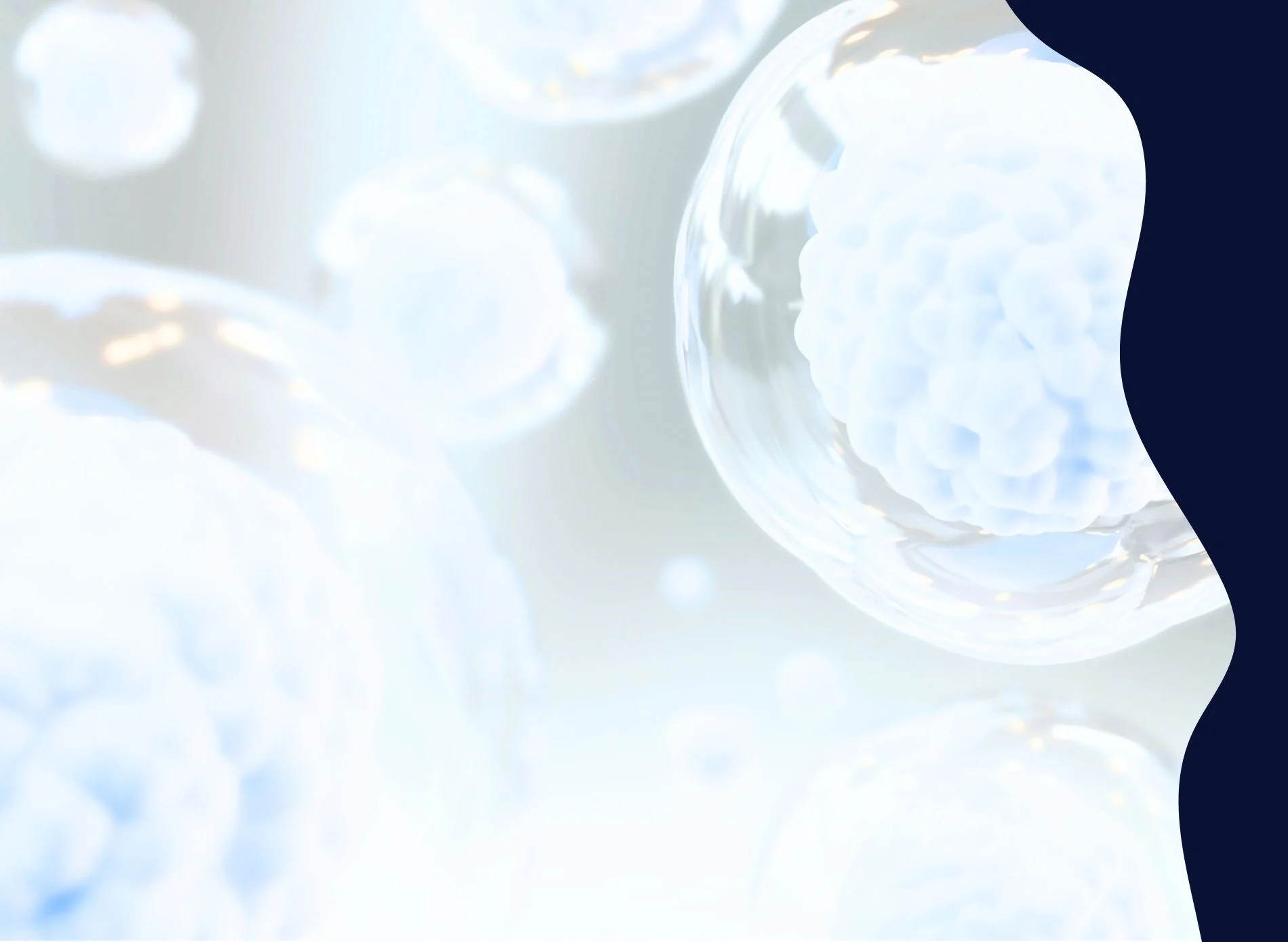 Cellular Background